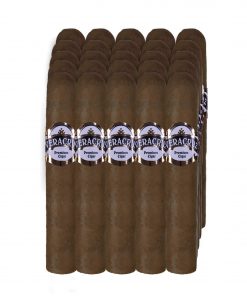 Alternative view of VERACRUZ ROBUSTO MAZO CON YUTE Y 25 PUROS NATURAL