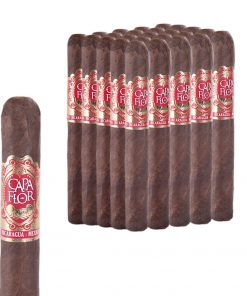 CAPA FLOR TORO MAZO CON 25 PUROS