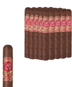 CAPA FLOR ROBUSTO MAZO CON 25 PUROS